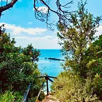 A Vacation On A Private Island 卡洛福泰