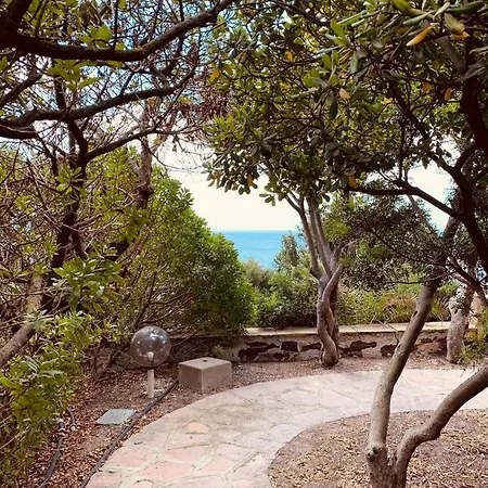 A Vacation On A Private Island