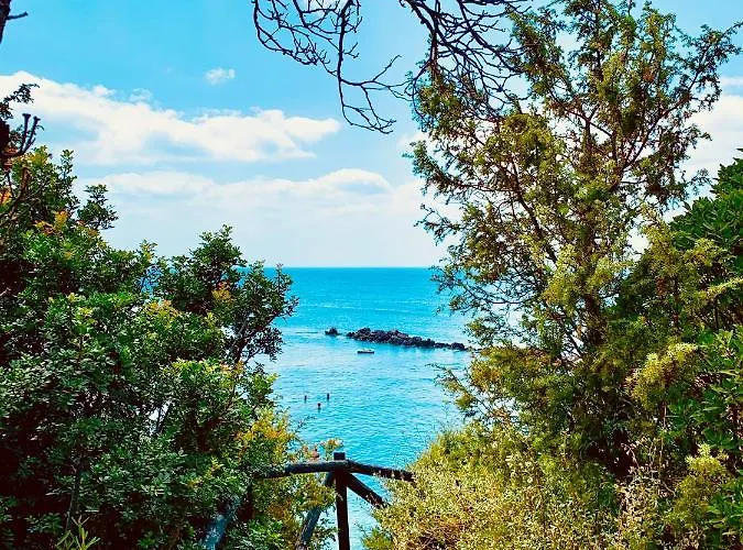 A Vacation On A Private Island קרלופורטה